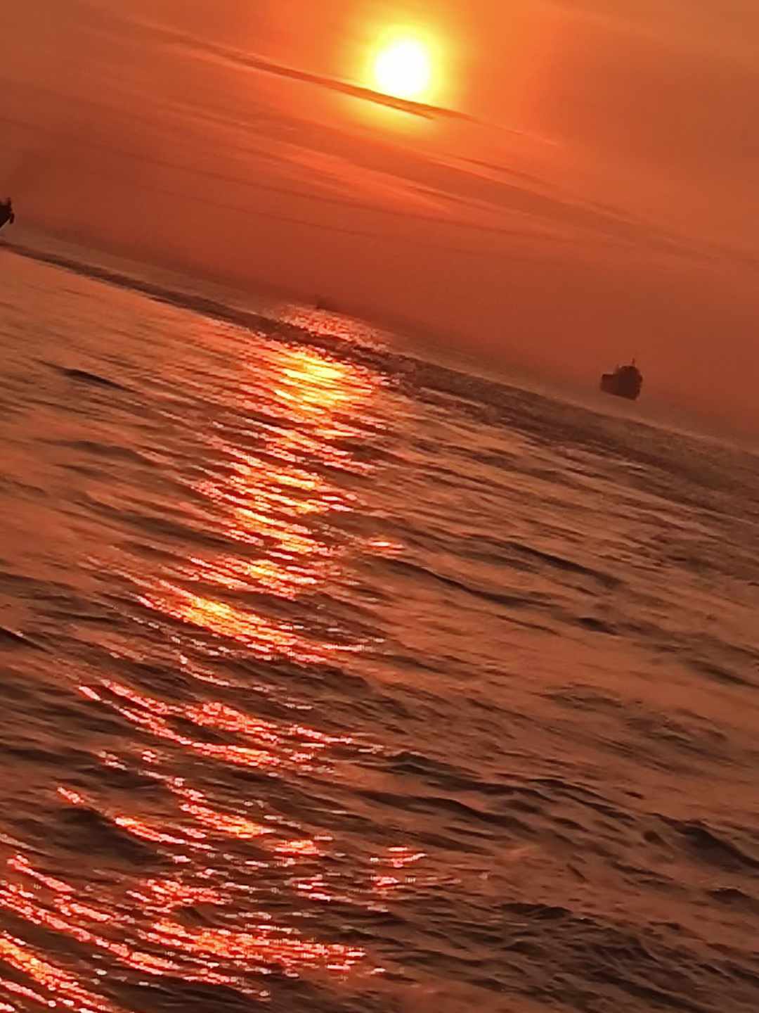 布谷